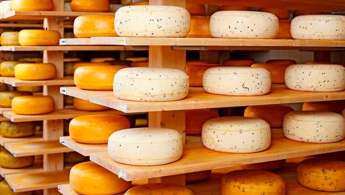 Производство сыров и сырных продуктов выросло на 8,1% 