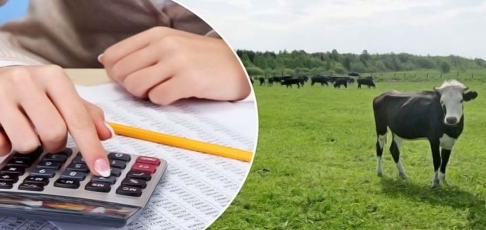 В Абдулинском ГО подводят итоги работы за 9 месяцев